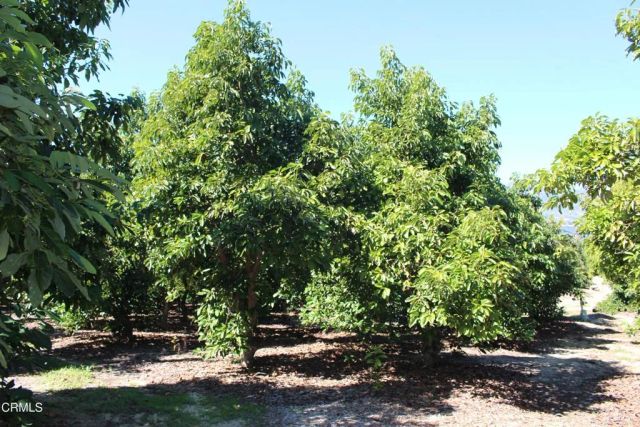 1550 Santa Paula Street, Fillmore, CA 93015