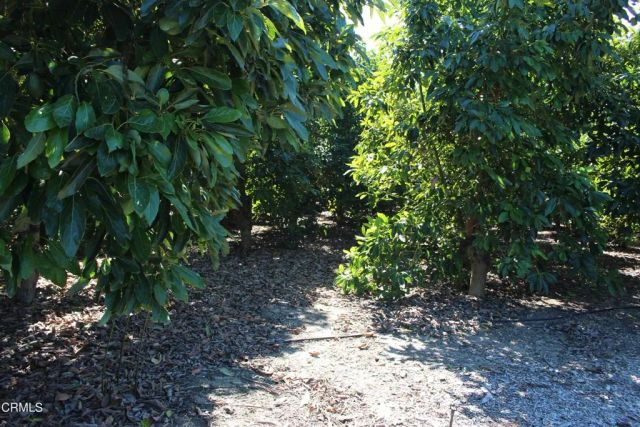 1550 Santa Paula Street, Fillmore, CA 93015