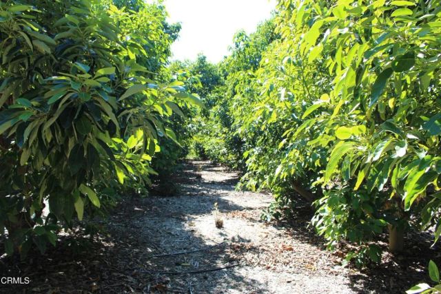 1550 Santa Paula Street, Fillmore, CA 93015