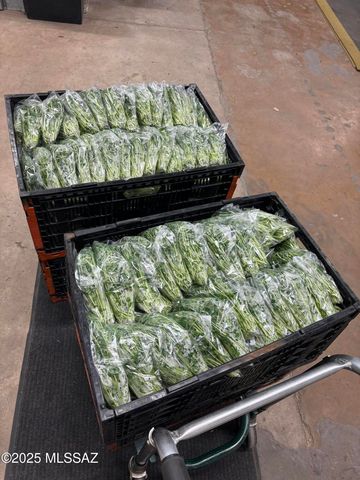 11640 S Lava Peak Road, Vail, AZ 85641