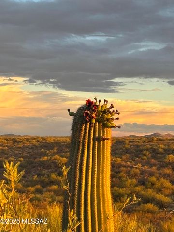 11640 S Lava Peak Road, Vail, AZ 85641