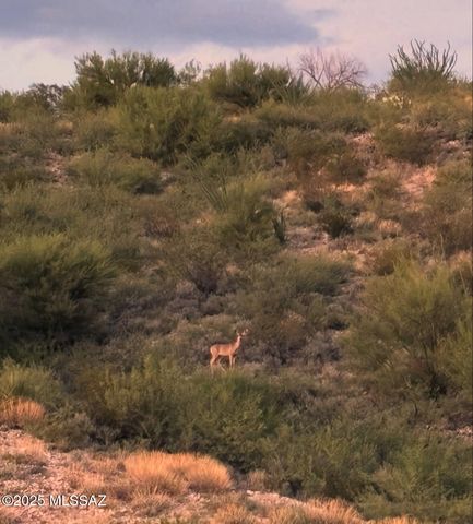 11640 S Lava Peak Road, Vail, AZ 85641