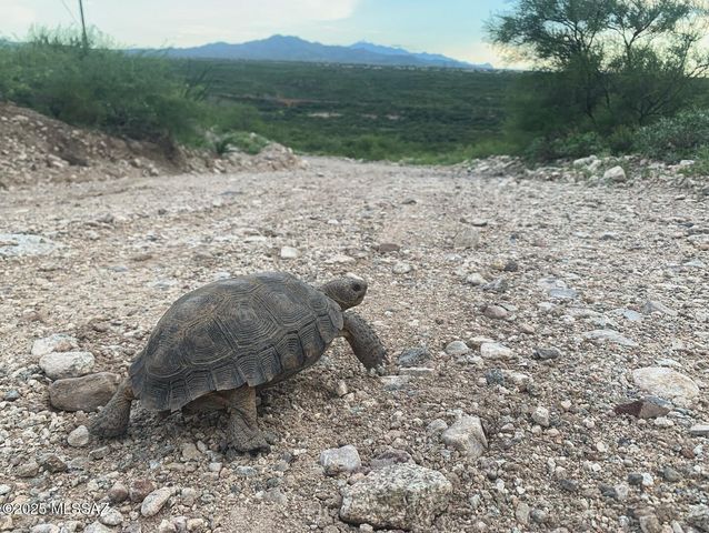 11640 S Lava Peak Road, Vail, AZ 85641