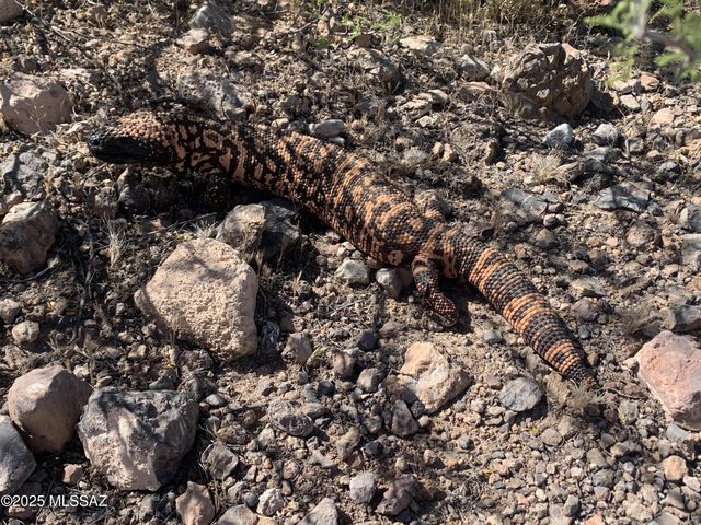 11640 S Lava Peak Road, Vail, AZ 85641