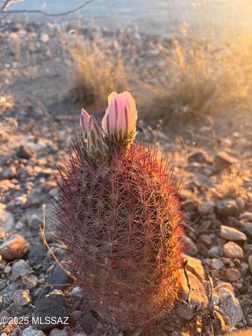 11640 S Lava Peak Road, Vail, AZ 85641