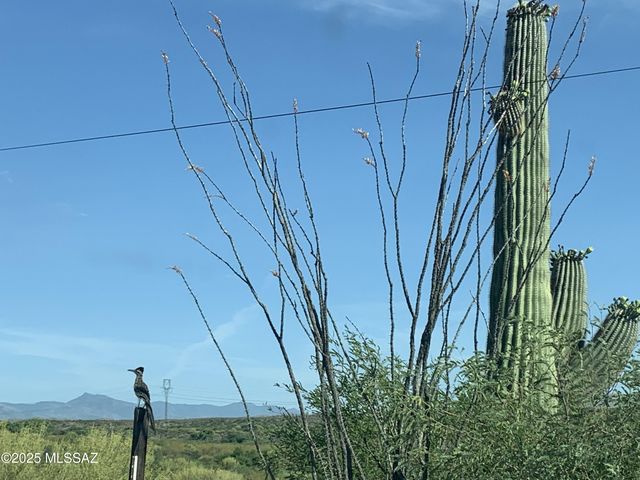 11640 S Lava Peak Road, Vail, AZ 85641