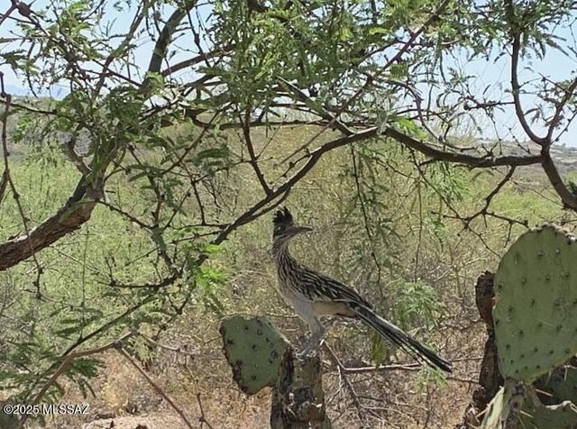 11640 S Lava Peak Road, Vail, AZ 85641