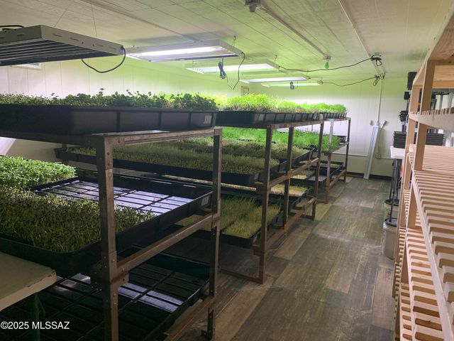 11640 S Lava Peak Road, Vail, AZ 85641