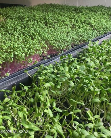 11640 S Lava Peak Road, Vail, AZ 85641