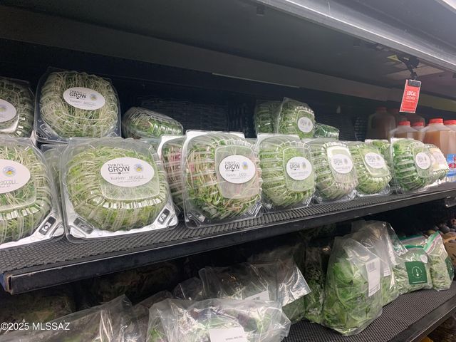 11640 S Lava Peak Road, Vail, AZ 85641