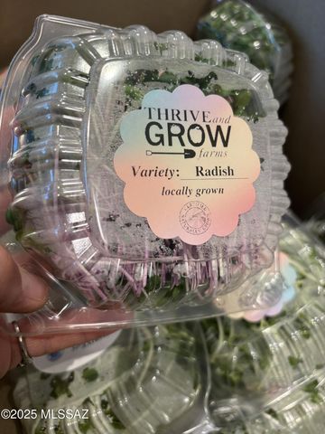 11640 S Lava Peak Road, Vail, AZ 85641