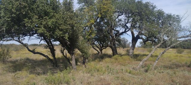 0 Pecan Valley Drive, Energy, TX 76452