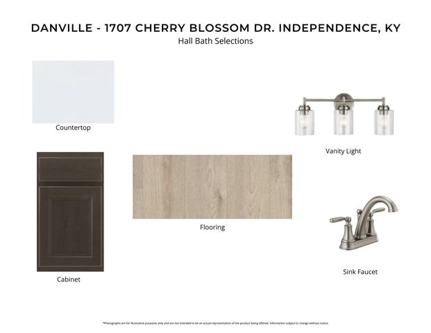 1707 Cherry Blossom Drive, Independence, KY 41051