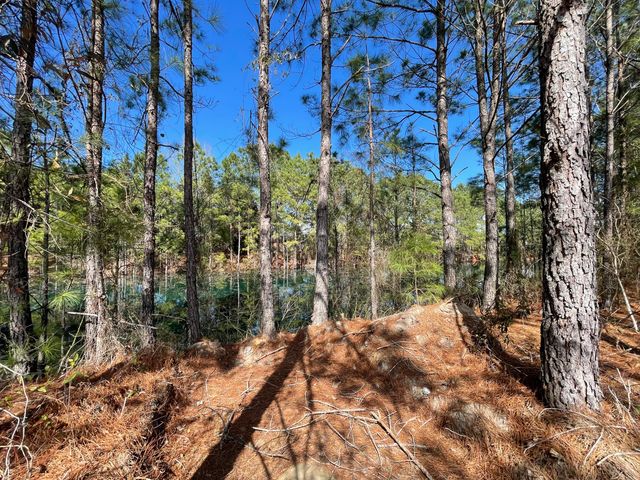 50 Lexington Court, Sumter, SC 29154