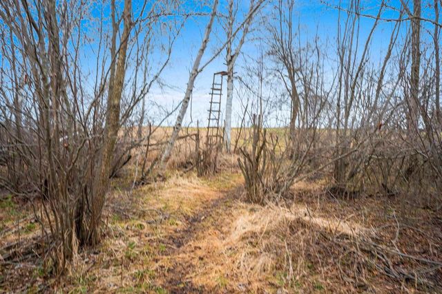 E5528 HANSON ROAD, Manawa, WI 54949