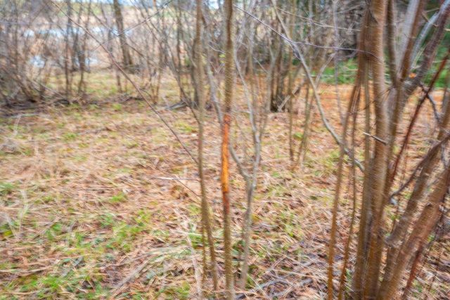 E5528 HANSON ROAD, Manawa, WI 54949