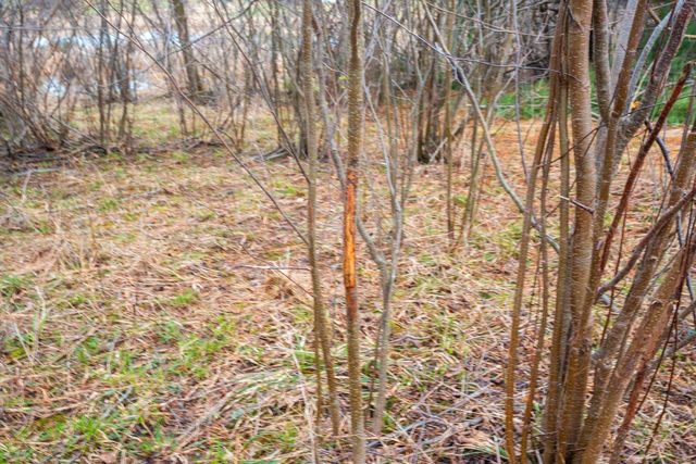 E5528 HANSON ROAD, Manawa, WI 54949