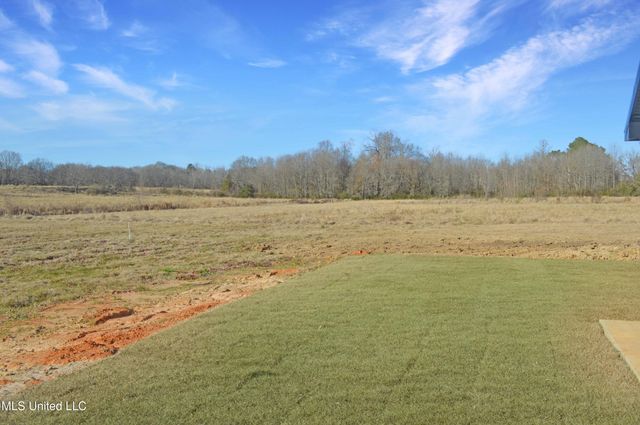 538 Morton Rankin County Line Road, Morton, MS 39117