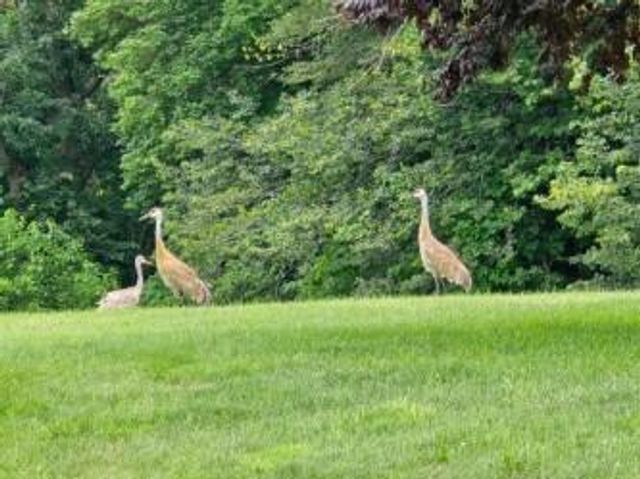 N6190 County Road F, Sullivan, WI 53178