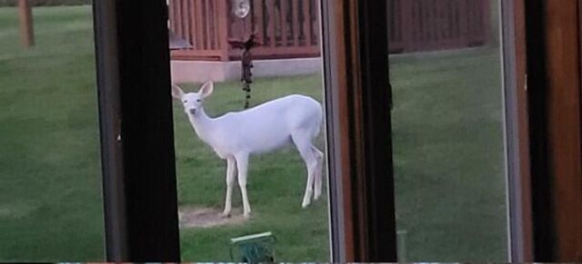 N6190 County Road F, Sullivan, WI 53178