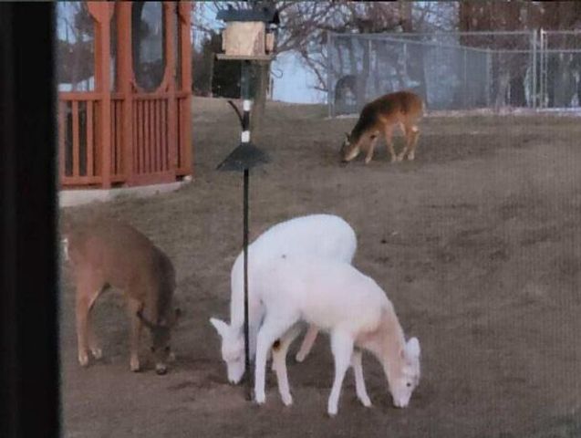 N6190 County Road F, Sullivan, WI 53178