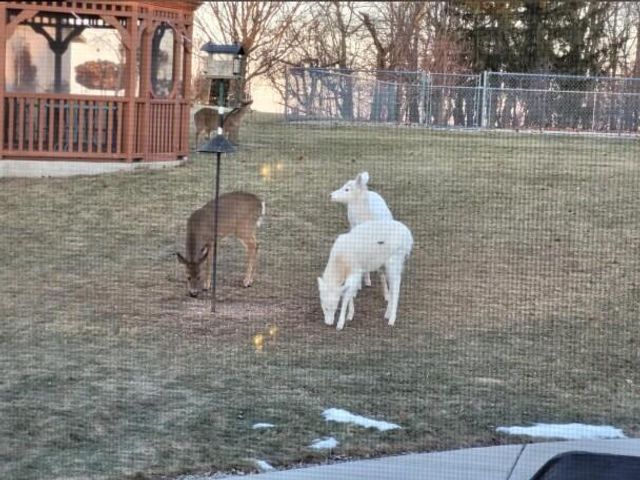 N6190 County Road F, Sullivan, WI 53178