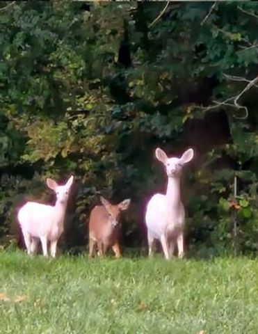 N6190 County Road F, Sullivan, WI 53178