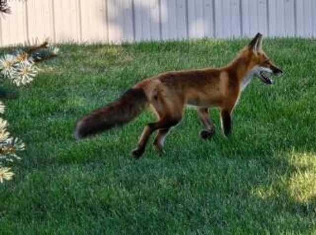 N6190 County Road F, Sullivan, WI 53178