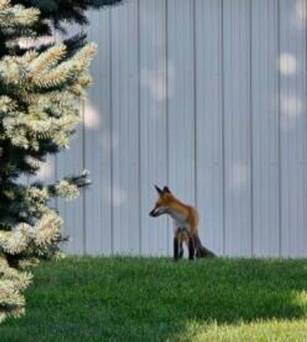 N6190 County Road F, Sullivan, WI 53178