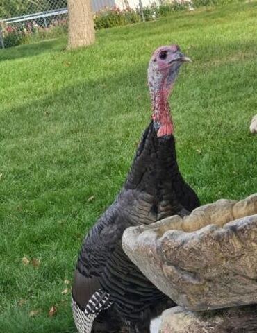 N6190 County Road F, Sullivan, WI 53178