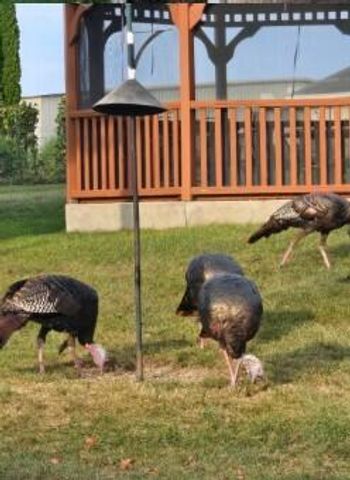 N6190 County Road F, Sullivan, WI 53178