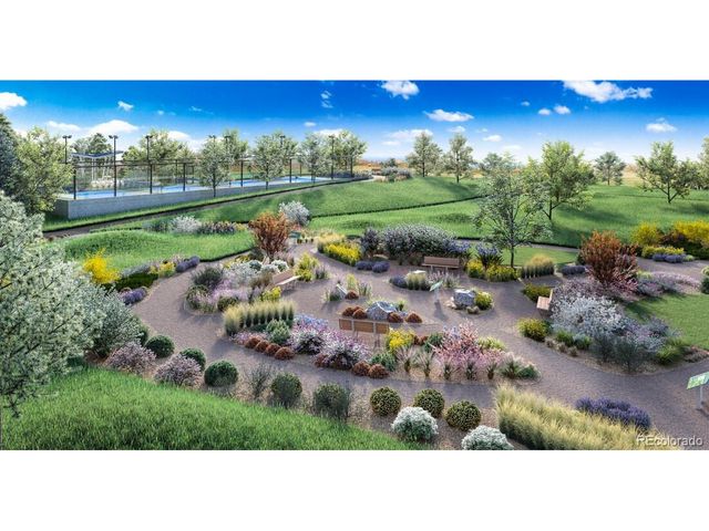 6353 Verve Ln, Parker, CO 80134