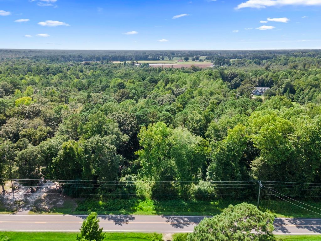 Cane Branch Rd., Loris, SC 29569 — photo 4