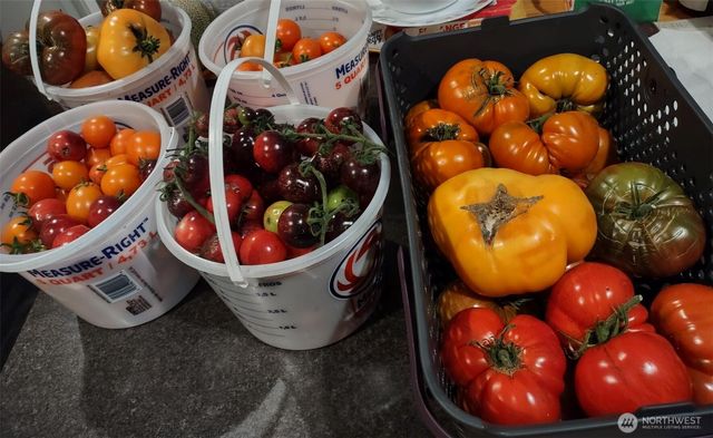 11134 Winlock Court SE, Olympia, WA 98513