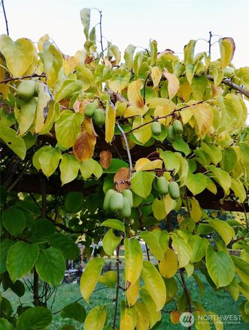 11134 Winlock Court SE, Olympia, WA 98513