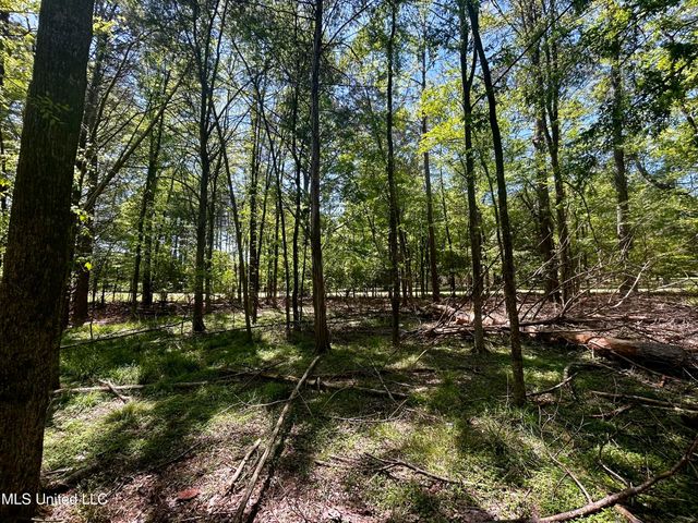 Sundial Road, Madison, MS 39110