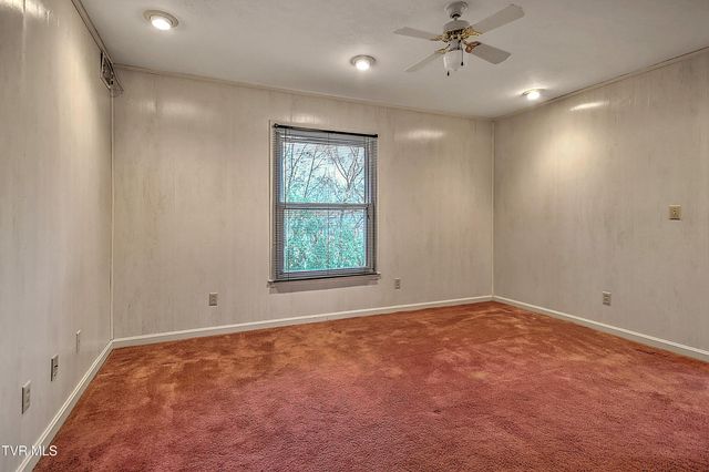 1237 Radcliffe Avenue, Kingsport, TN 37664