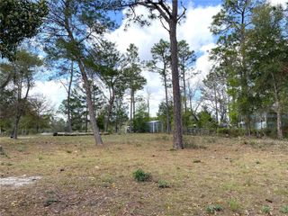 00 NE 142ND COURT, Williston, FL 32696