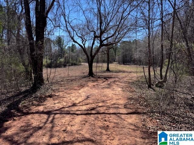 COUNTY ROAD 684, Roanoke, AL 36274