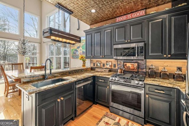 195 Skunk Hollow Road, Cleveland, GA 30528