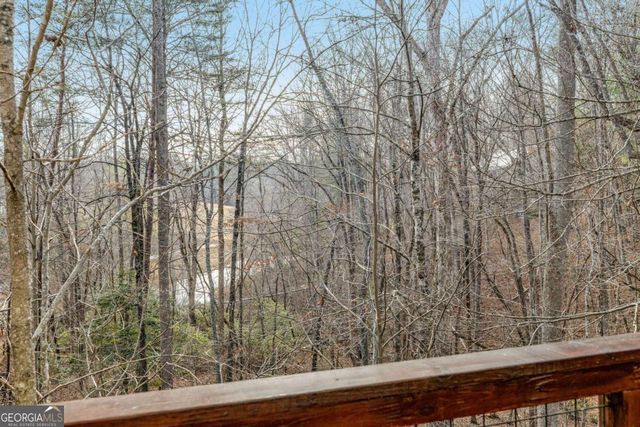 195 Skunk Hollow Road, Cleveland, GA 30528