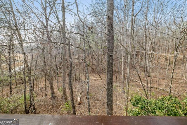 195 Skunk Hollow Road, Cleveland, GA 30528