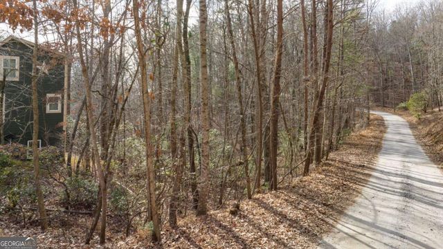 195 Skunk Hollow Road, Cleveland, GA 30528