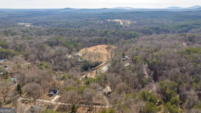 195 Skunk Hollow Road, Cleveland, GA 30528