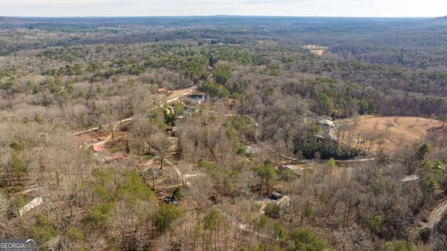 195 Skunk Hollow Road, Cleveland, GA 30528