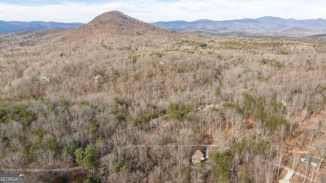 195 Skunk Hollow Road, Cleveland, GA 30528