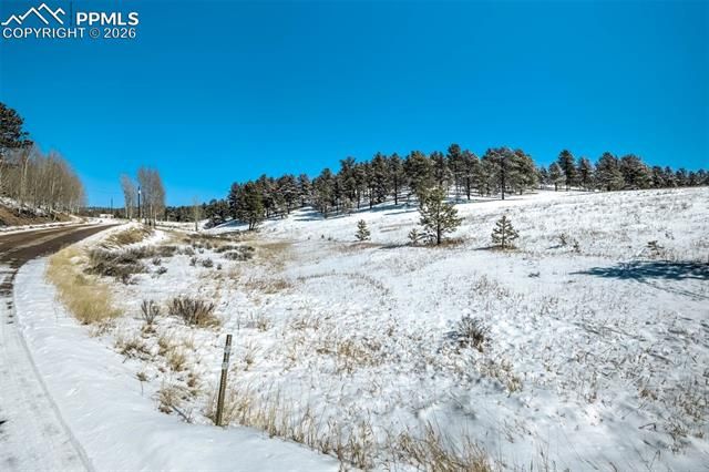 244 High Pasture Road, Florissant, CO 80816