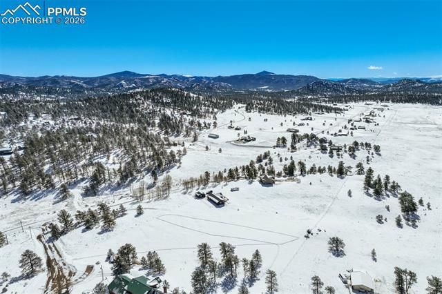 244 High Pasture Road, Florissant, CO 80816