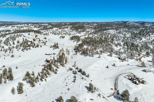 244 High Pasture Road, Florissant, CO 80816