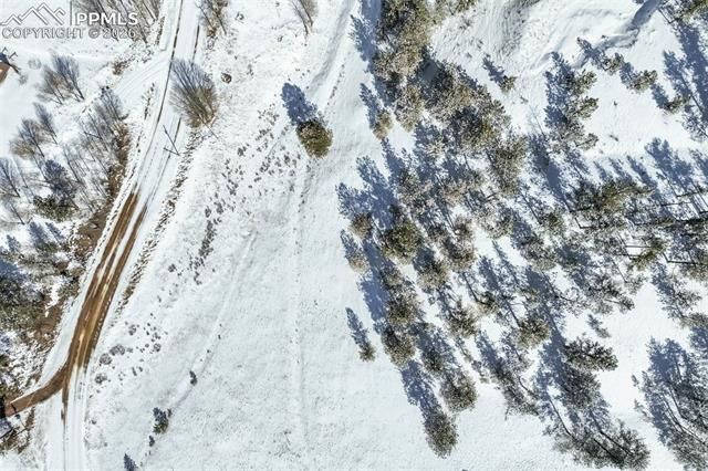 244 High Pasture Road, Florissant, CO 80816
